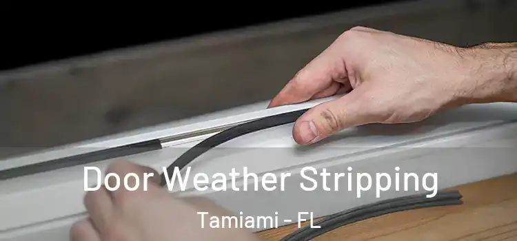 Door Weather Stripping Tamiami - FL