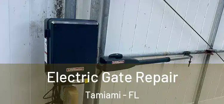 Electric Gate Repair Tamiami - FL
