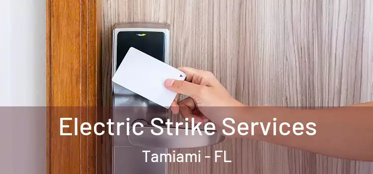 Electric Strike Services Tamiami - FL