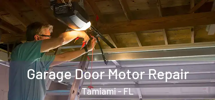  Garage Door Motor Repair Tamiami - FL