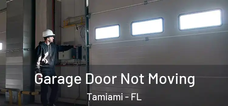  Garage Door Not Moving Tamiami - FL