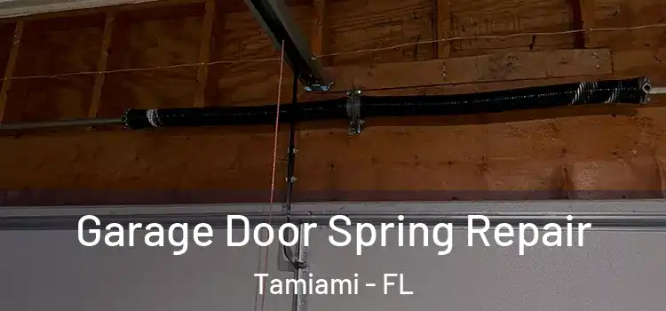  Garage Door Spring Repair Tamiami - FL