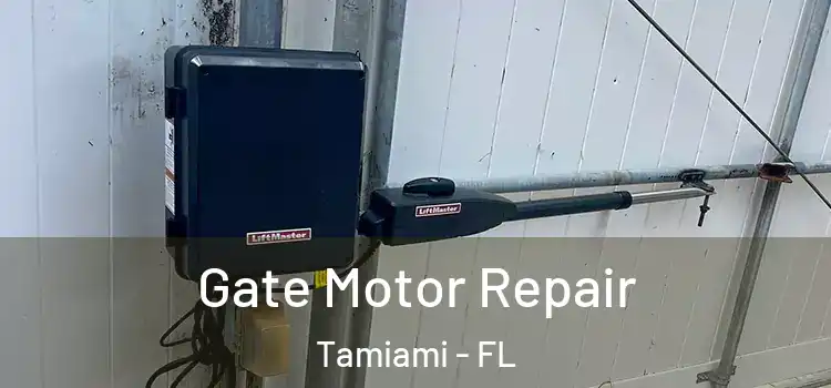 Gate Motor Repair Tamiami - FL