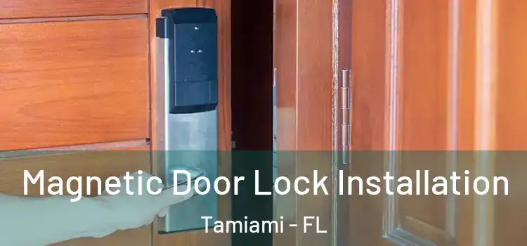  Magnetic Door Lock Installation Tamiami - FL