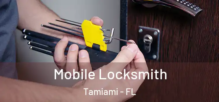 Mobile Locksmith Tamiami - FL