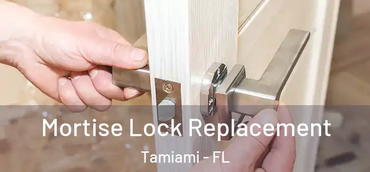 Mortise Lock Replacement Tamiami - FL
